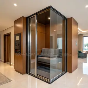 Steel Belt Home Lift in Nigeria