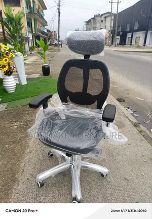 Executive Ergonomics Office Chair