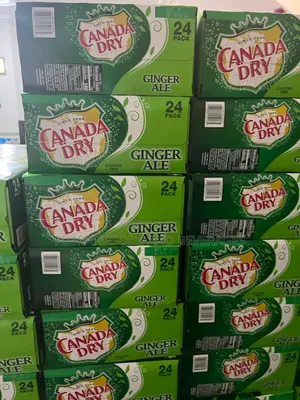 Canada Dry Ginger Ale Pack for 24