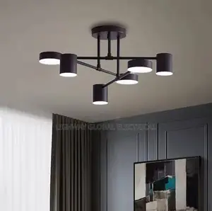Nordic Modern Ceiling Black Led Ceiling Fitting Light