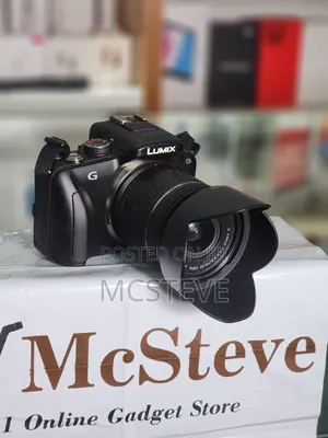 Panasonic Lumix DMC-G3 Mirrorless Camera With 14-42mm Lens