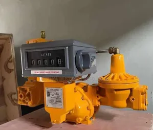 LPG Liquid Gas Control/Meter