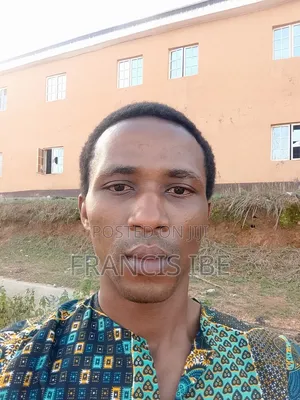 Mr. Francis Ibe
