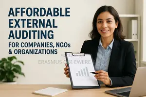 Affordable External Auditing for Companies, Ngos Organizations