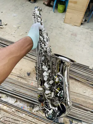 Standard Japan High Quality Alto Saxophone Silver