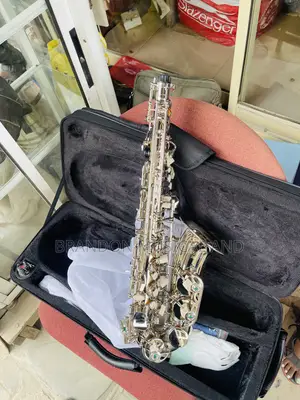 Standard Japan High Quality Alto Saxophone Silver
