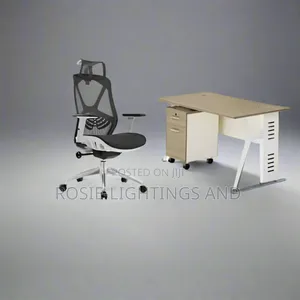 Ergonomic Swivel Mesh Chair With 4 Feet Office Desk