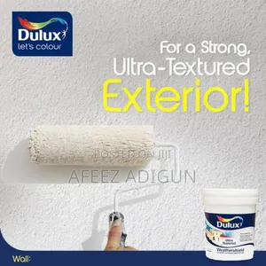 Dulux Weathersheild Smooth White (Silky Texture Strong Protection)