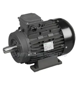 Electric Motor