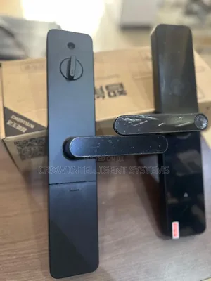High Intelligent Remote Smart Lock