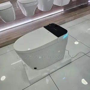 Smart Sensor Water Closet