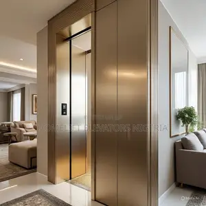 450kg Low Noise Residential Elevator With Ti- Gold