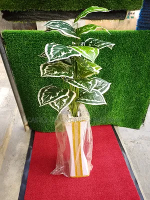 Flower Vase With Beautiful Design