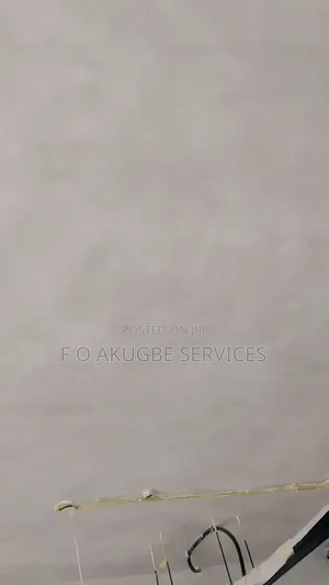 Lime Wash Decorative Design Pro