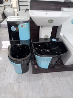 Unique Black and Blue Water Closet With Wallhung Basin