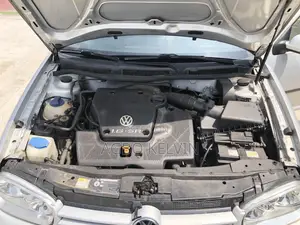 Volkswagen Golf 2005 Silver
