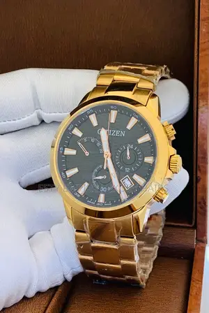 Citizen Chronograph Chain Wrist Watch