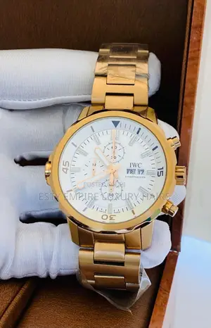 Iwc Chronograph Chain Wrist Watch