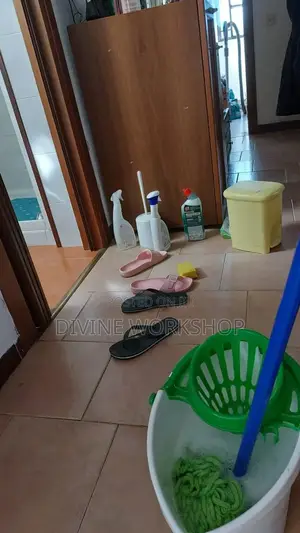 Toilet and Bedroom Cleaning Services