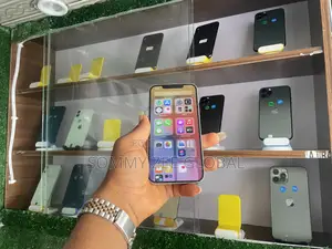 Apple iPhone 12 Pro Max 256 GB White