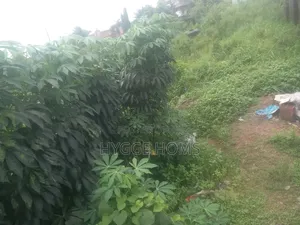250sqm Land at Maplewood Estate