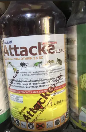 Chemical Attacks