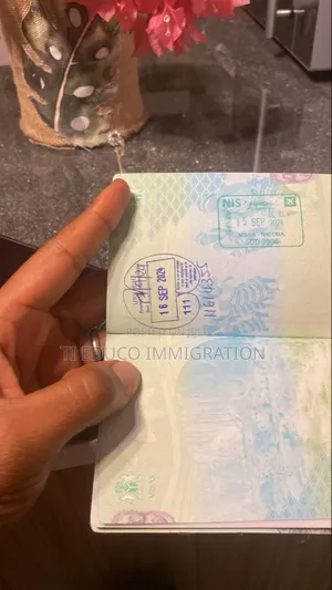 Europe and Asia Visas Are Available