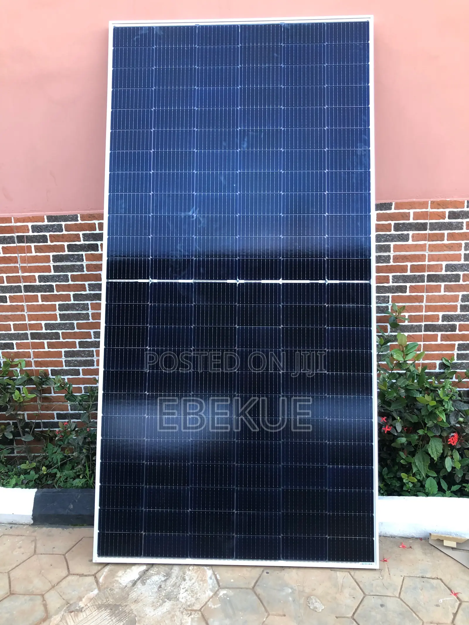 650w Jinko Solar Panel
