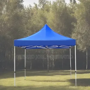 8 by 10 Foldable Canopy Tent