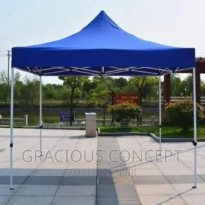 10 by 10 Foldable Canopy Tent