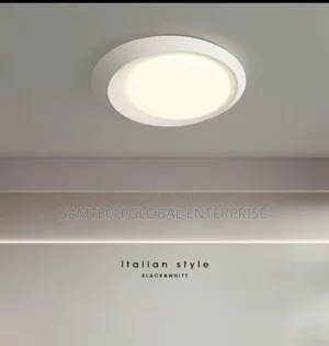 Modern Ceiling Light