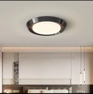 Modern Ceiling Light