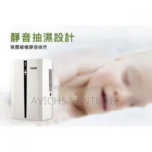 Mini Silent Dehumidifier
