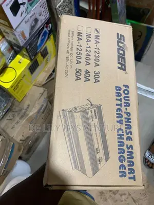 Four-Phase Smart Battery Charger 30a