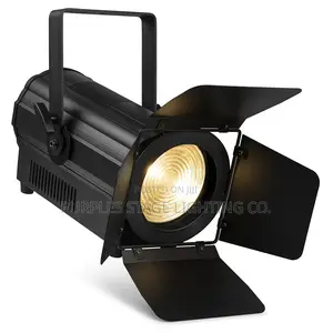 Cob Light 200w
