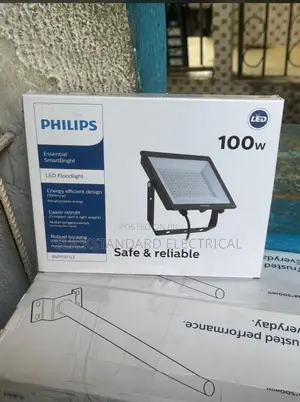 100 Watts Flood Light Philips