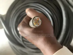 6mm 5core Armored Cable Coleman