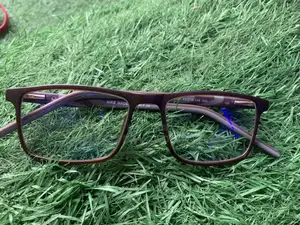 Anti Blue Ray +Photochromic Glasses(Blue Cut Photochromic)