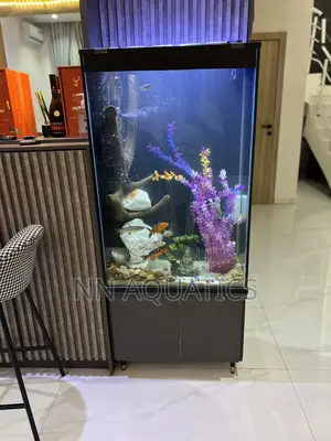 Aquarium With Stand