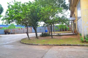 300sqm (Half Plot ) Liasu Road 247 Power Suply