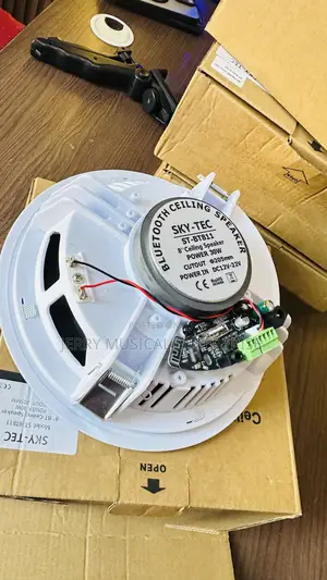 Single Bluetooth Ceiling Speakers Can Be Connected Through Bluetooth