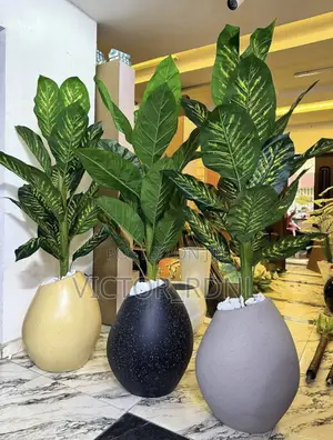 Unmatched Flower Pots