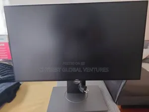 25 Inches Dell Monitor