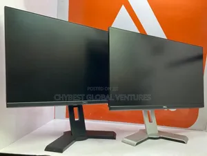 24 Inches Ips Dell Flameless Monitor