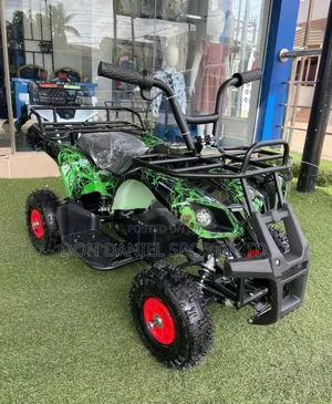 Children Quad Bike 24 Volt