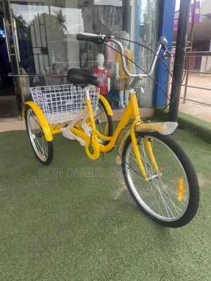 Manual Tricycle