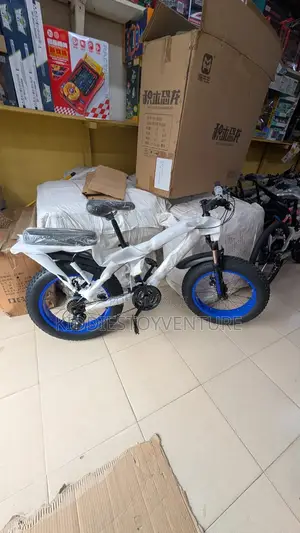 Big Fat Bicycle 20 for Kid