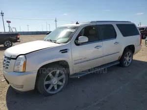 Cadillac Escalade ESV 2010 White