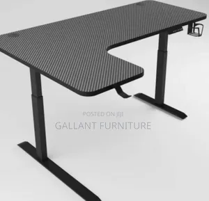 Quality Luxury Electric Adjustable Desk