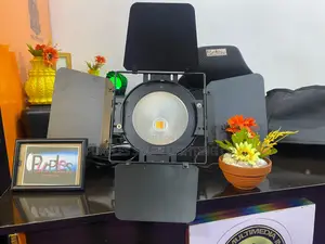 Cob Light 200watt